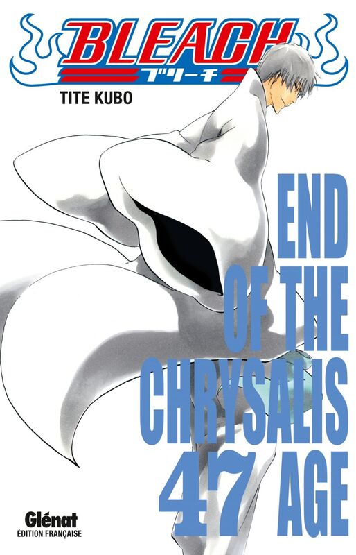 Bleach - Tome 47 End of the chrysalis age