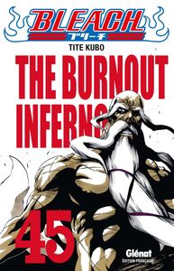 Bleach - Tome 45 The burnout inferno