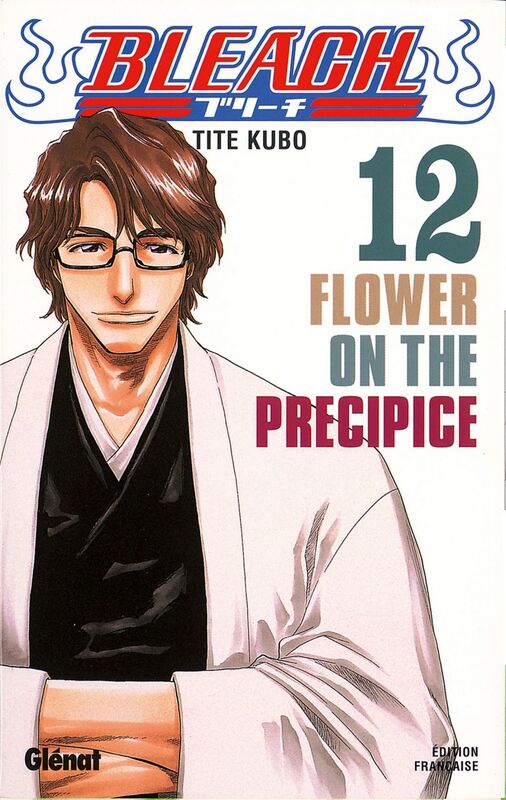 Bleach - Tome 12 Flower on the precipice