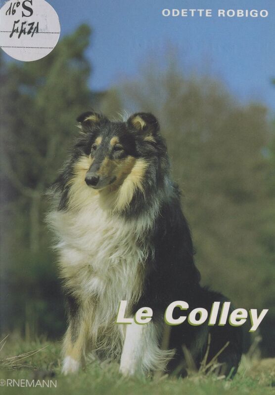 Le Colley (Berger d'Écosse)