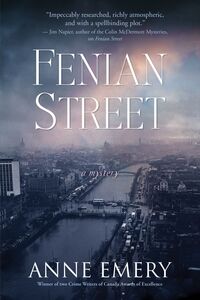 Fenian Street A Mystery