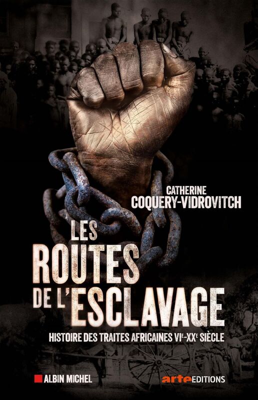 Les Routes de l'esclavage Histoire des traites africaines VIe-XXe siècle