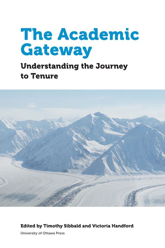 The Academic Gateway Understanding the Journey to Tenure