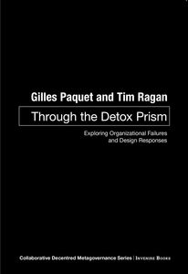 Through the Detox Prism Exploring Organizational Failures and Design Responses