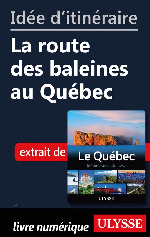 Idée d'itinéraire - La route des baleines au Québec
