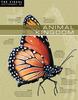 The Visual Dictionary of Animal Kingdom Animal Kingdom