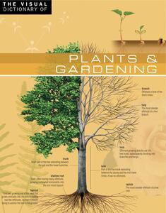 The Visual Dictionary of Plants & Gardening Plants & Gardening