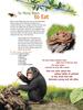 So Many Ways to Eat A new way to explore the animal kingdom
