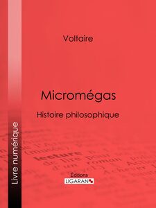 Micromégas Histoire philosophique