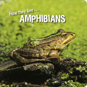 How they live... Amphibians Learn All There Is to Know About These Animals!