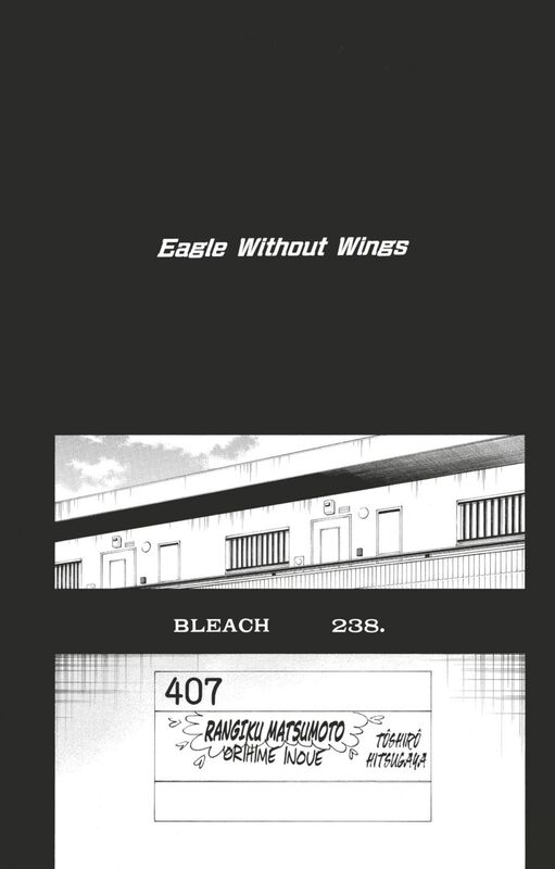 Bleach - T27 - Chapitre 238 Eagle Without Wings