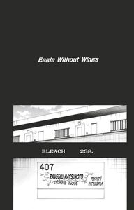 Bleach - T27 - Chapitre 238 Eagle Without Wings