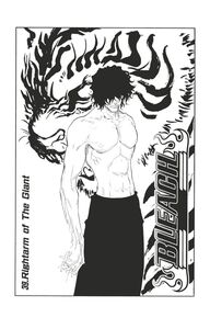 Bleach - T05 - Chapitre 39 Rightarm of The Giant