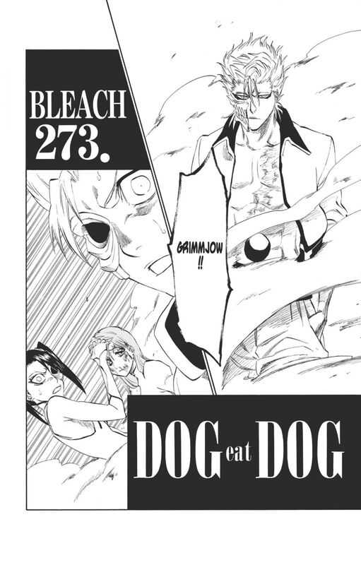 Bleach - T31 - Chapitre 273 DOG eat DOG