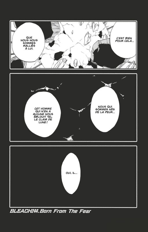 Bleach - T28 - Chapitre 244 Born From The Fear