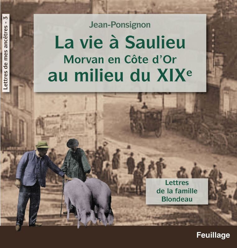 La vie à Saulieu en Morvan (Côte-d'Or) au milieu du XIXe siècle Lettres de la famille Blondeau