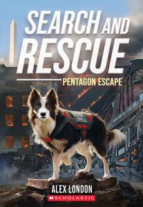 Search and Rescue: Pentagon Escape Pentagon Escape