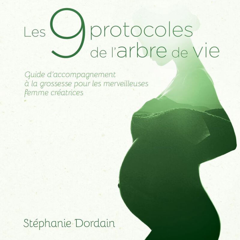 Les 9 protocoles de l'Arbre de vie Guide d'accompagnement pour une grossesse sereine, harmonieuse et épanouie