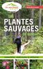Les plantes sauvages du Québec comestibles, médicinales et utilitaires