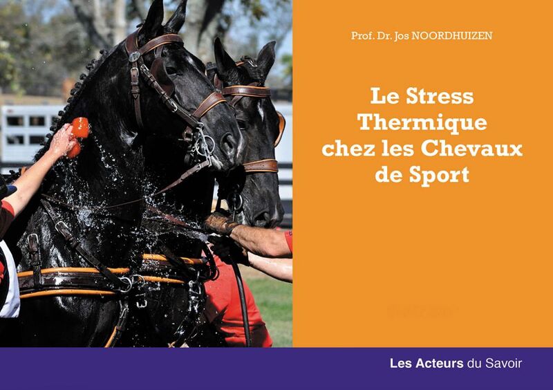 Le stress thermique chez les chevaux de course