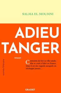 Adieu Tanger Premier roman