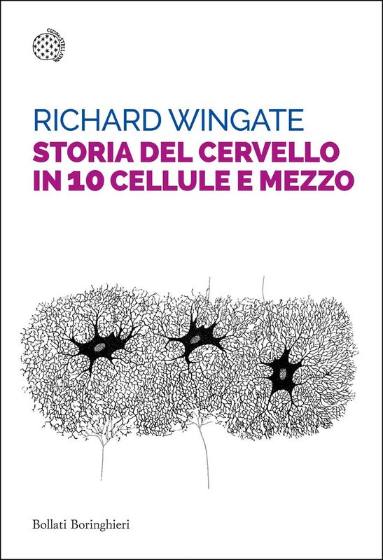 Storia del cervello in 10 cellule e mezzo