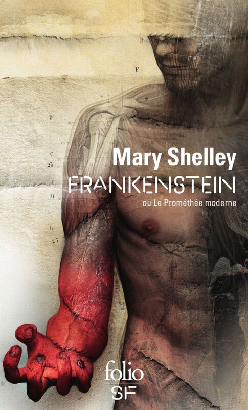 Frankenstein ou Le Prométhée moderne (nouvelle traduction)