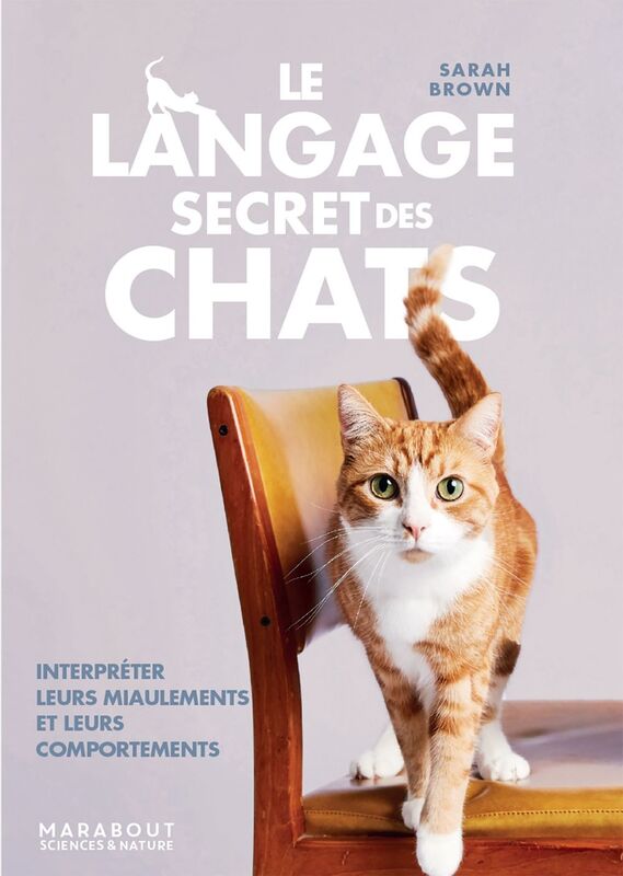 Le langage secret des chats Interpréter leurs miaulements et leurs comportements