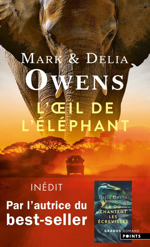 L'Œil de l'éléphant