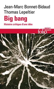 Big bang. Histoire critique d'une idée