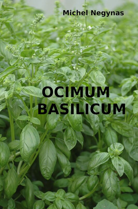 Ocimum Basilicum