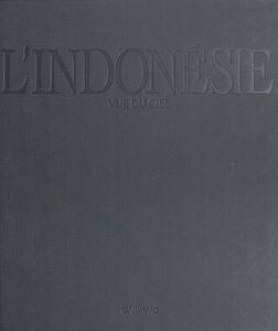 L'Indonésie vue du ciel