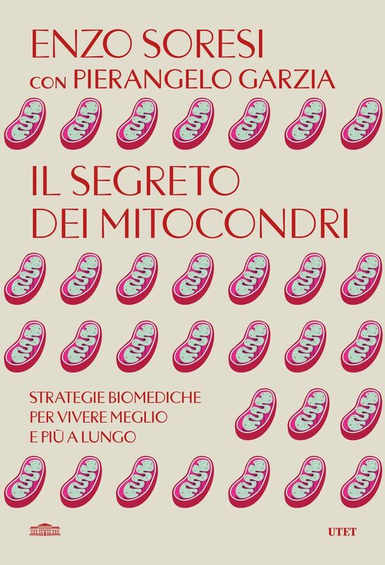 Il segreto dei mitocondri