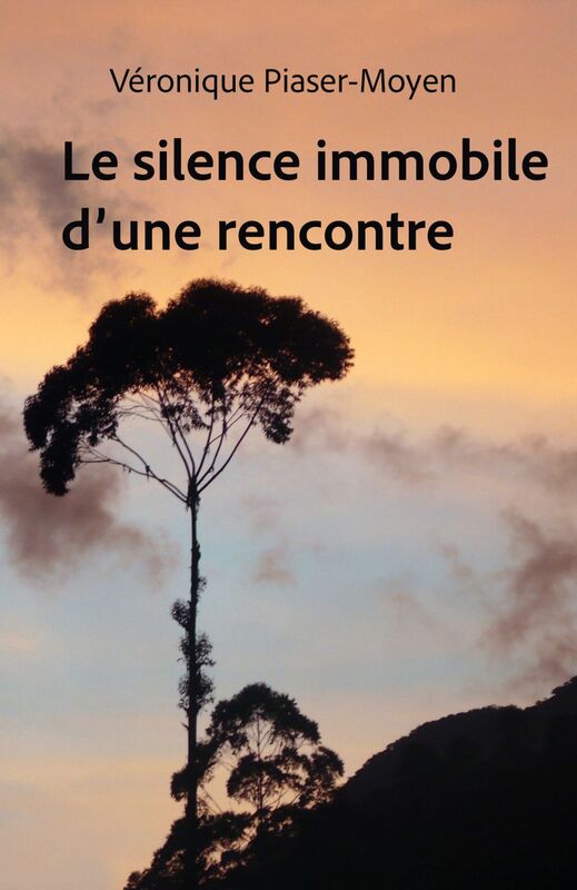 Le Silence immobile d’une rencontre