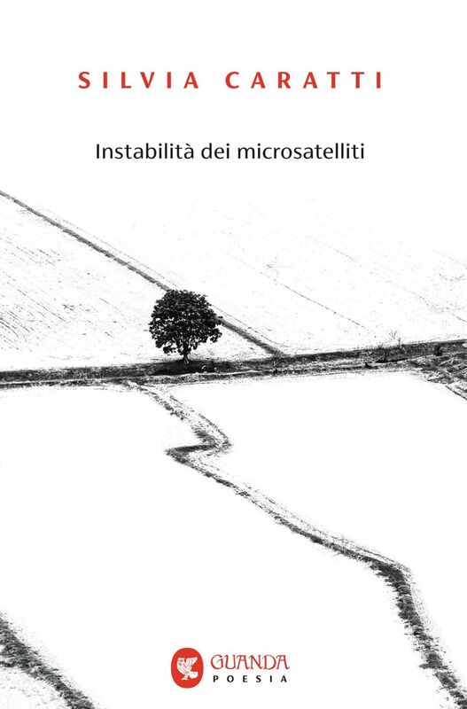 Instabilità dei microsatelliti