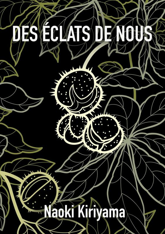 Des éclats de nous