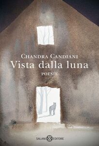 Vista dalla luna. Poesie