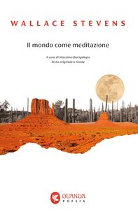 Il mondo come meditazione