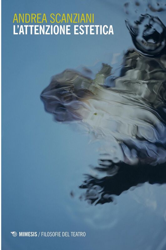 L'attenzione estetica