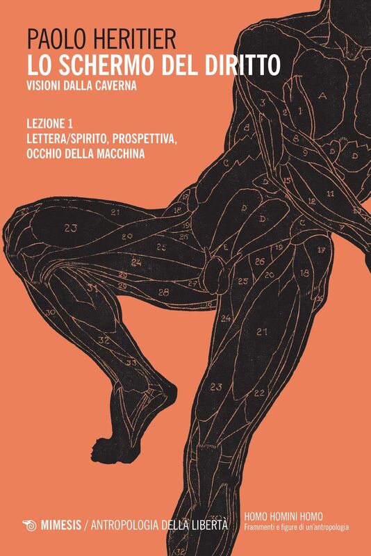 Lo schermo del diritto I Visioni dalla caverna. Lezione I Lettera/spirito, prospettiva, occhio della macchina