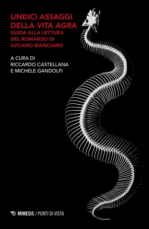 Undici assaggi della Vita agra Guida alla lettura del romanzo di Luciano Bianciardi