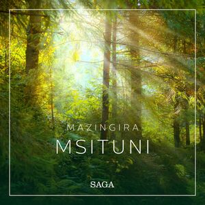 Mazingira - Msituni