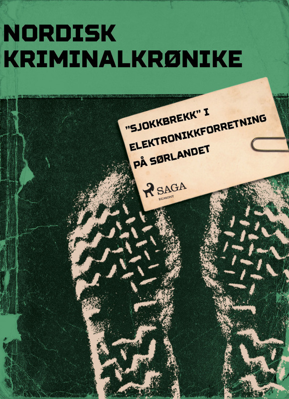 "Sjokkbrekk" i elektronikkforretning på Sørlandet