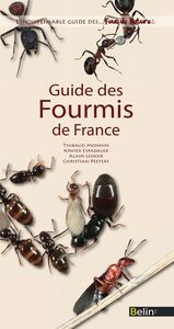 Guide des Fourmis de France