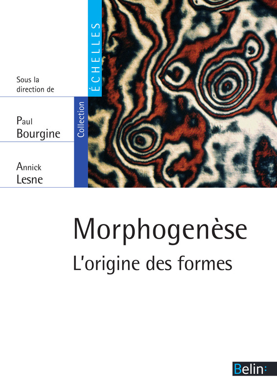 Morphogenèse. L'origine des formes L'origine des formes