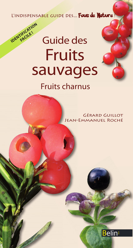 Guide des fruits sauvages Fruits charnus