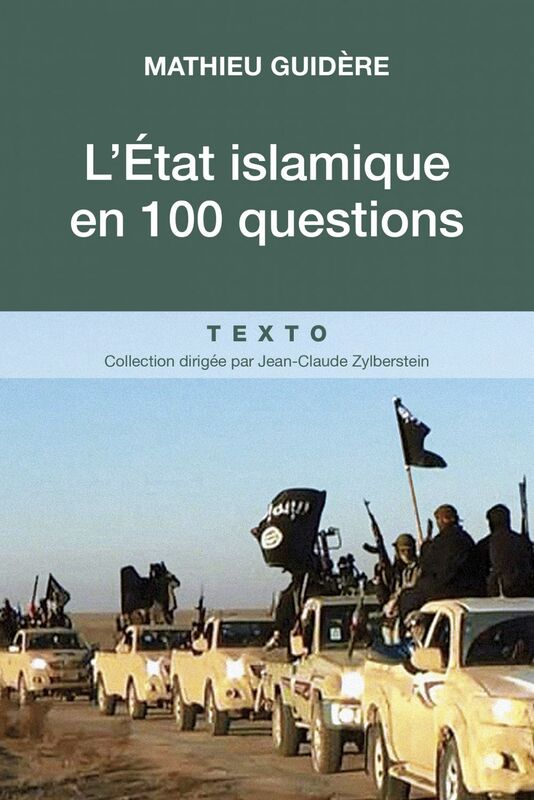 L'État islamique en 100 questions