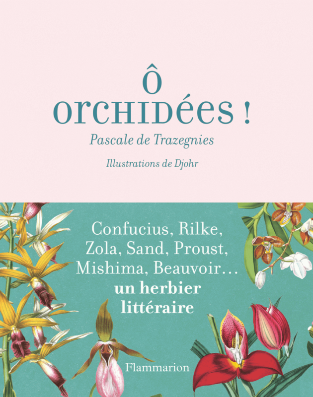 Ô orchidées