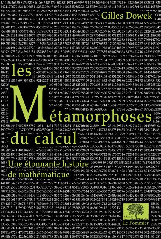 Les Métamorphoses du calcul Une étonnante histoire des mathématiques