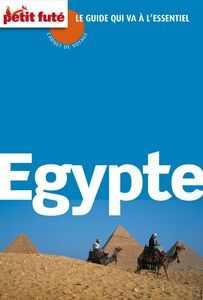 Egypte 2012/2013 Carnet Petit Futé